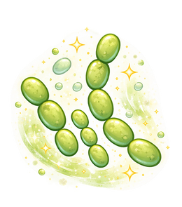 Postbiotics